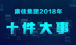 一张图了解*爱游戏集团2018年十件大事！